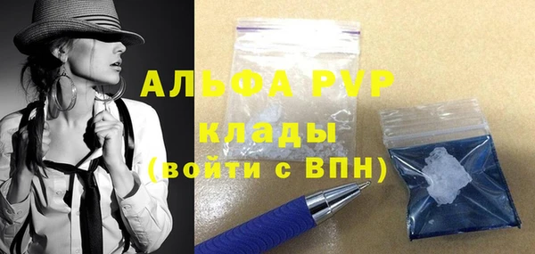 Альфа ПВП Инта
