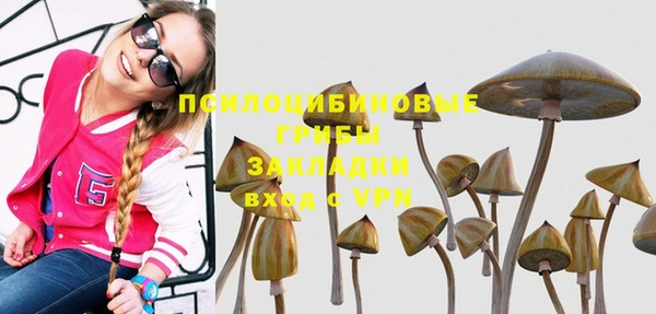 ешки Алексеевка