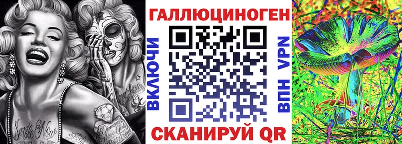 закладки  Королёв  Псилоцибиновые грибы ЛСД 